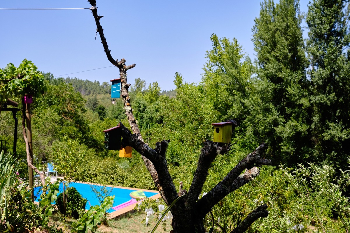 Parejo Photos Galaroza