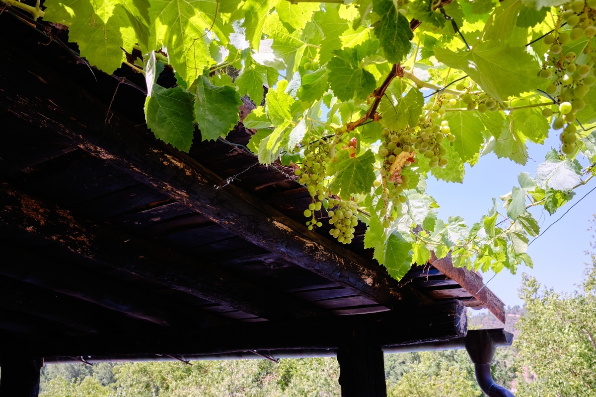 boda especial en galaroza