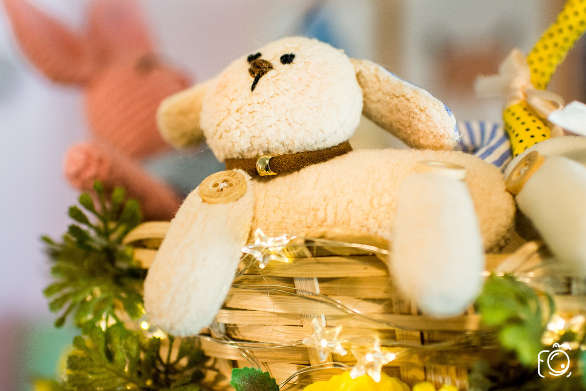 fotógrafos teresina