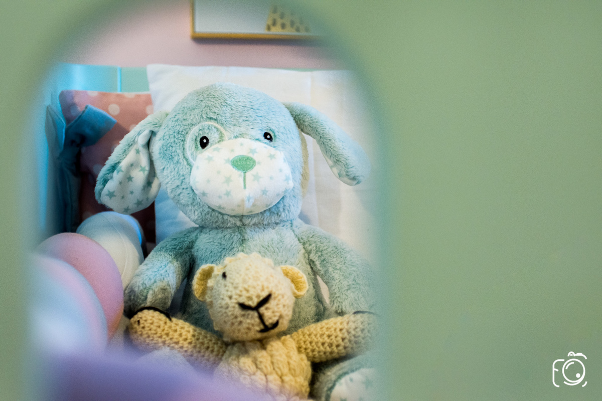 fotógrafo de teresina