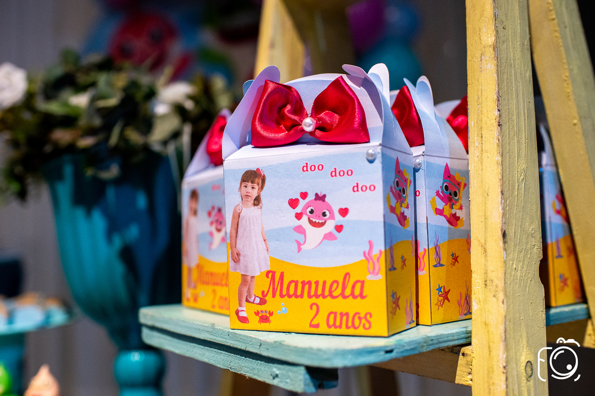 decoradora festa infantil teresina