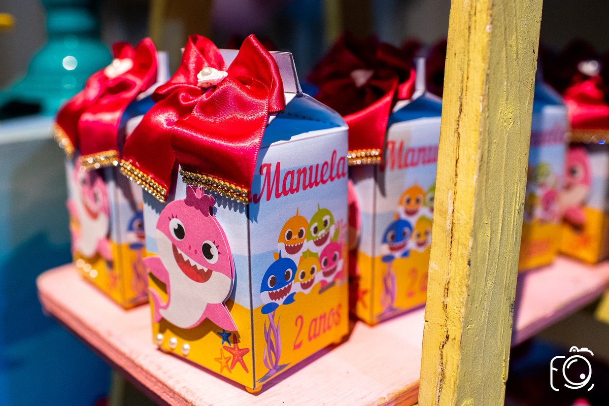 decoradora aniversário infantil teresina