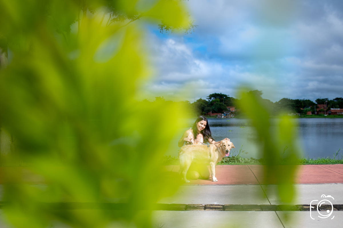 parque para cachorro teresina