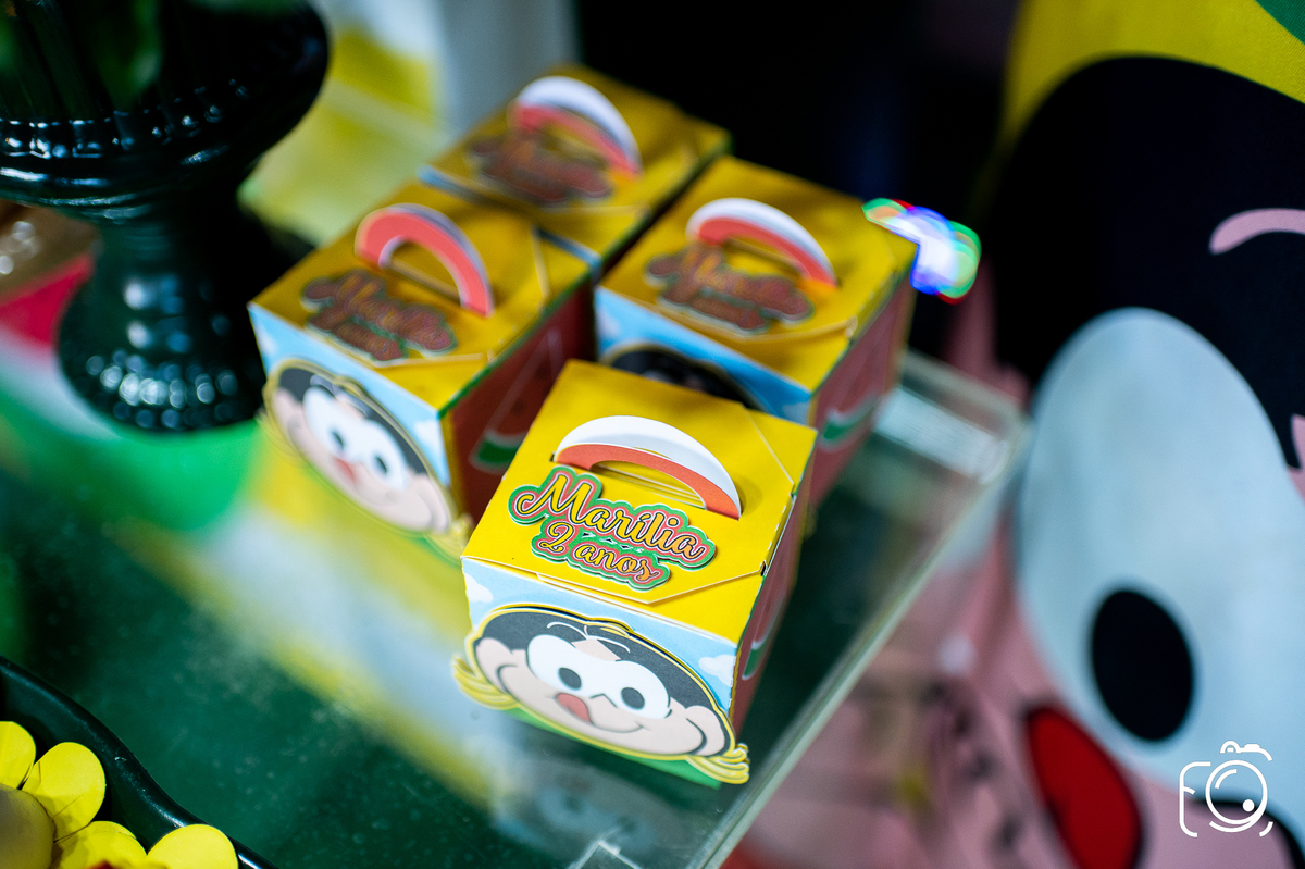 decoração festa Analândia