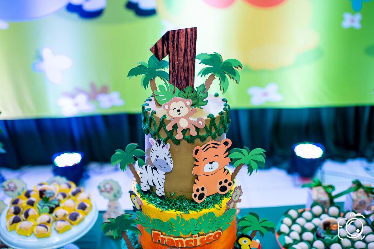 aniversário de 1 ano Botucatu