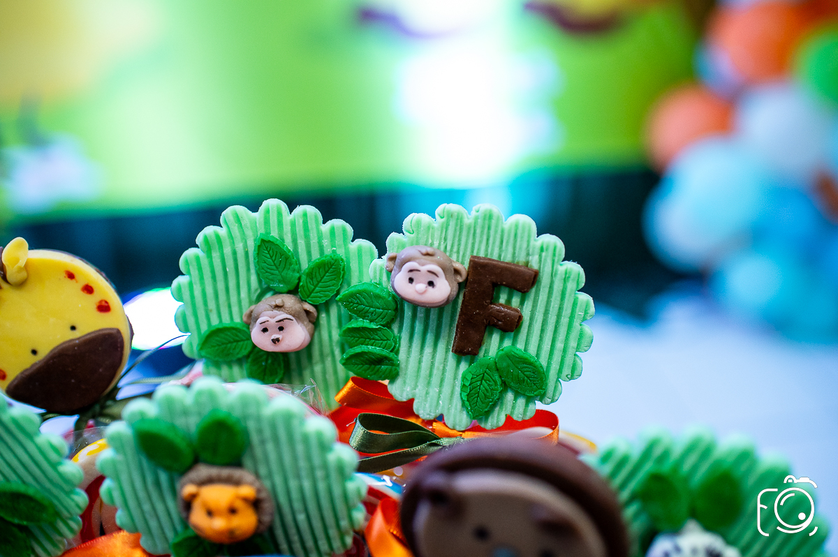 festa infantil Botucatu