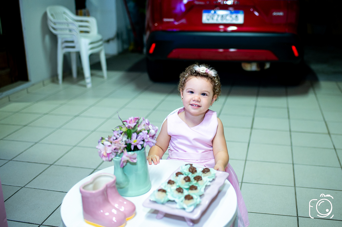fotógrafo para aniversário infantil Botucatu