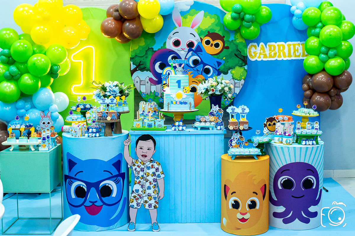 decoração para aniversário infantil Botucatu