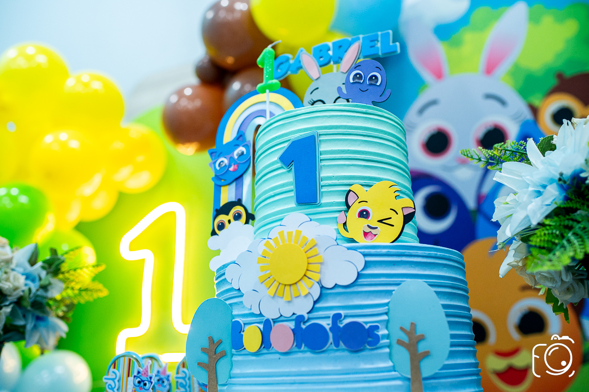 festa de 1 ano Botucatu