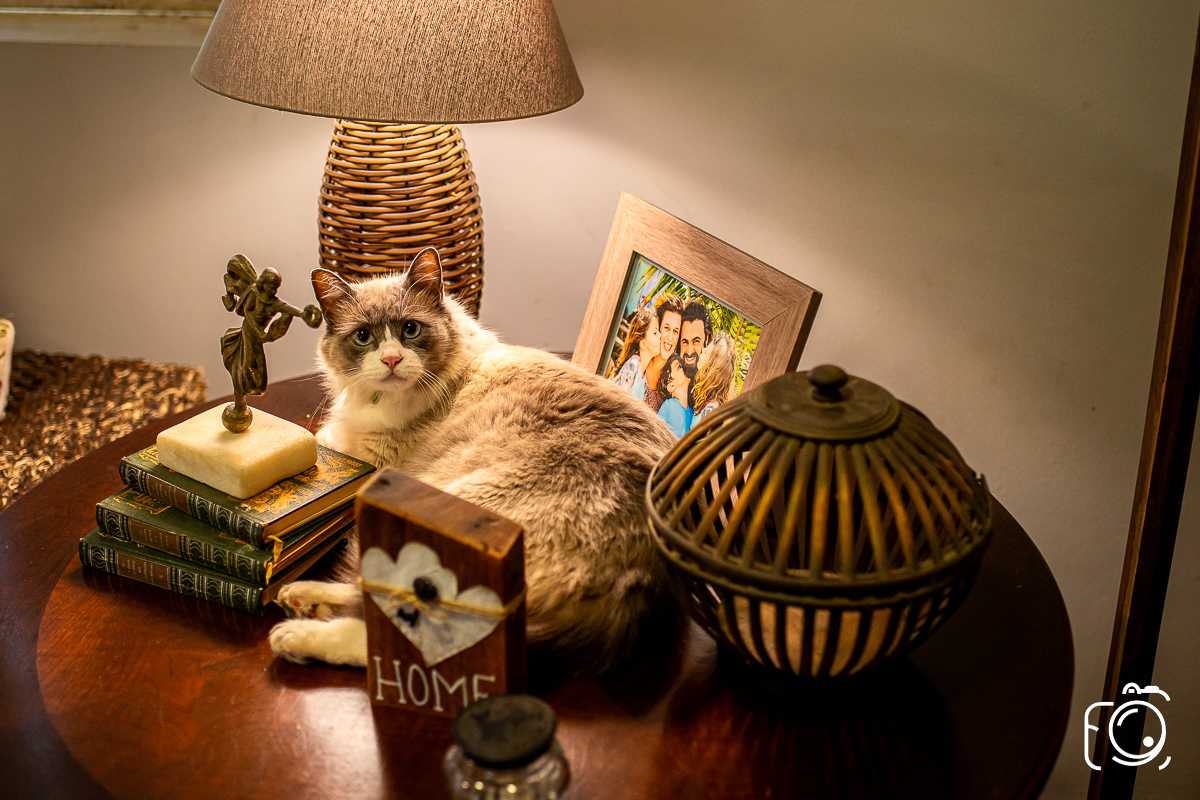 edson girioli fotografia