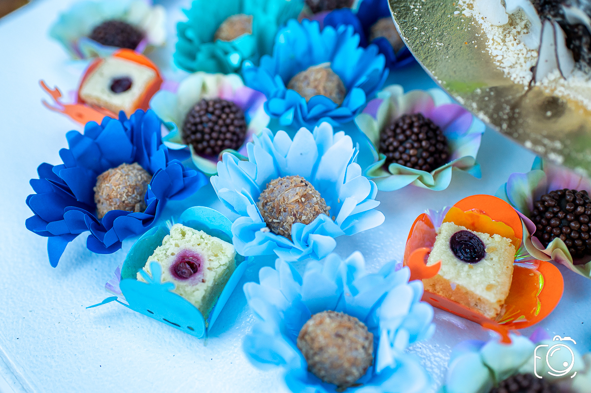 docinhso para festa Botucatu