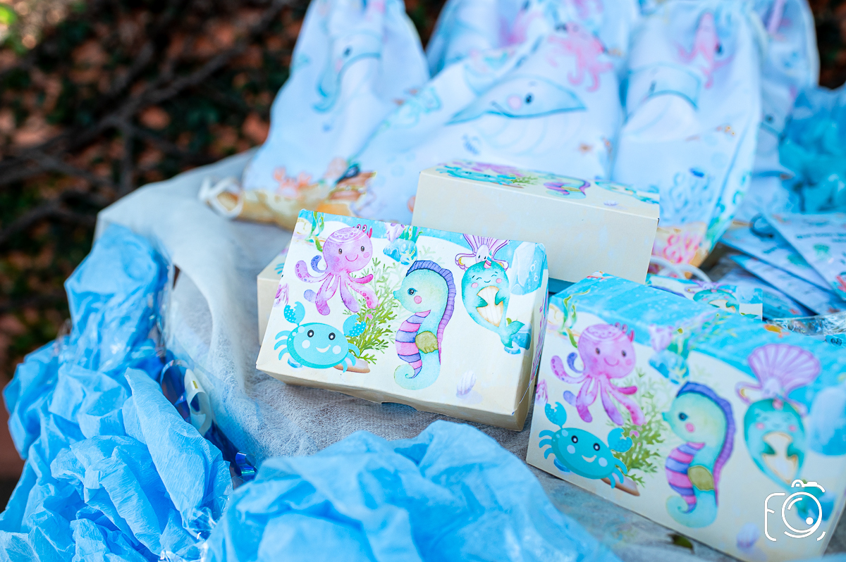 quality fotografia Botucatu