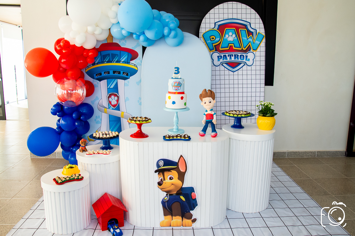 decoração patrulha canina Botucatu
