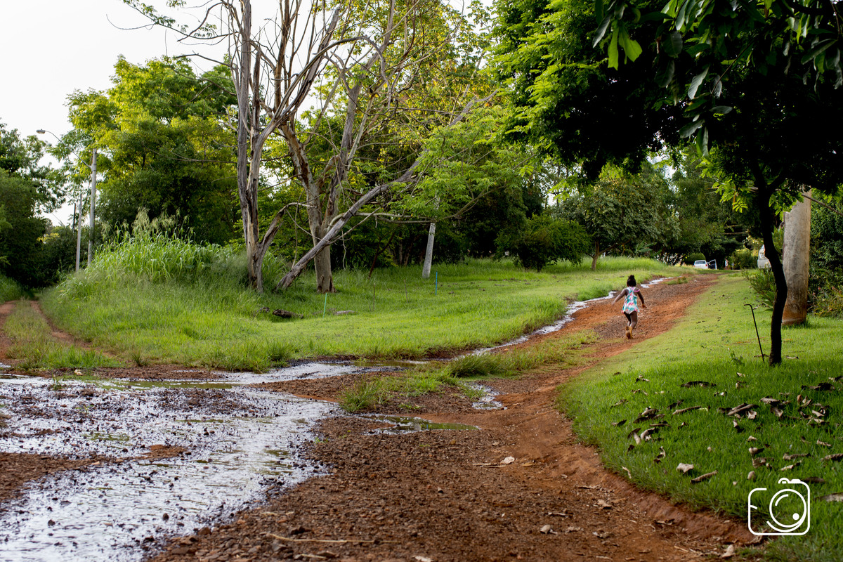Fotografo para aniversário infantil