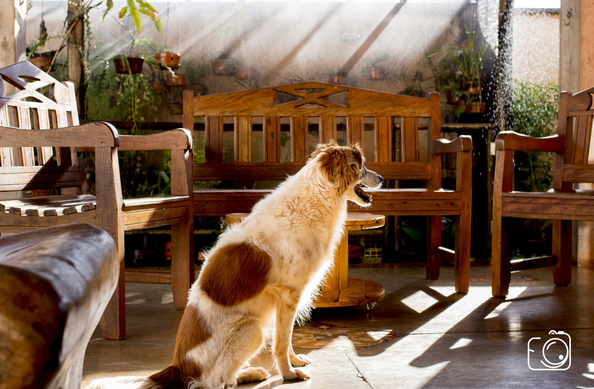 Fotografia espontânea