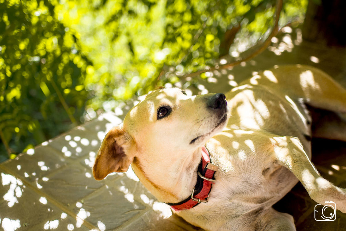 book fotográfico em Teresina