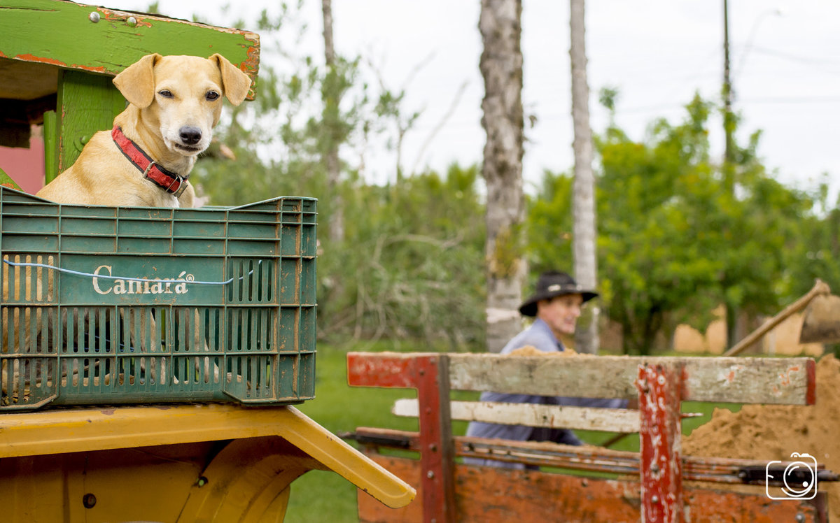 fotógrafo de casamento Teresina