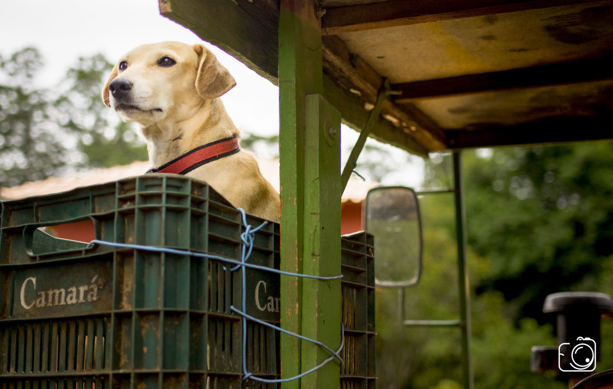 fotógrafos do Piauí