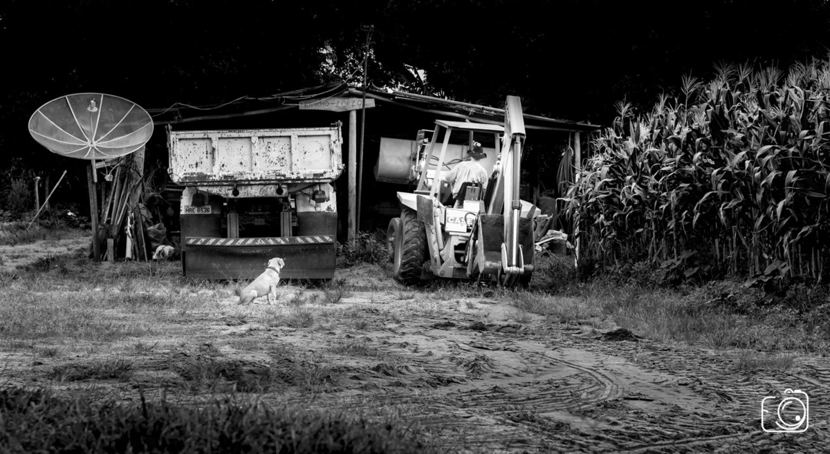 fotógrafo de família Teresina