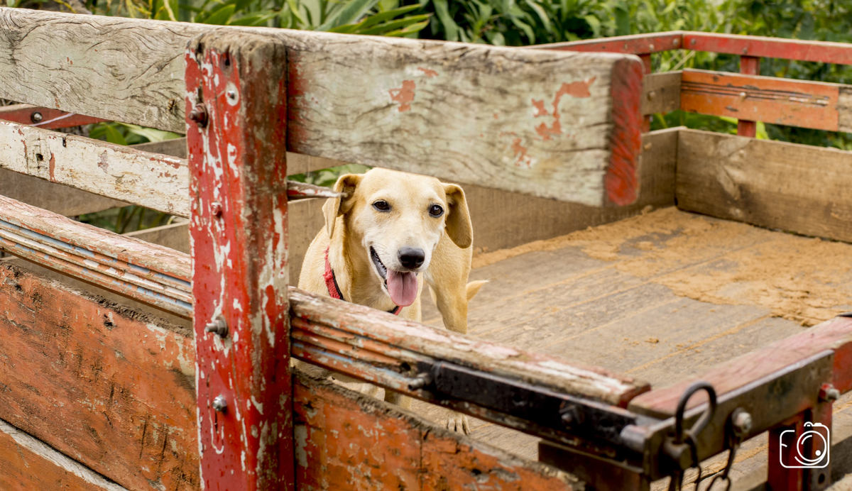 fotógrafo de Teresina