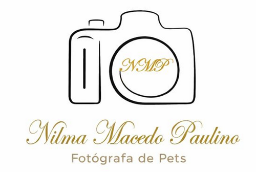 Logotipo de Nilma Macedo Paulino