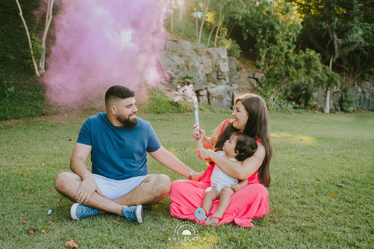 ensaio fotográfico, revelação de gravidez, ensaio revelação, cha revelação, campo, vila velha, vitoria, mae de menina, segunda gravidez, ensaio no parque

