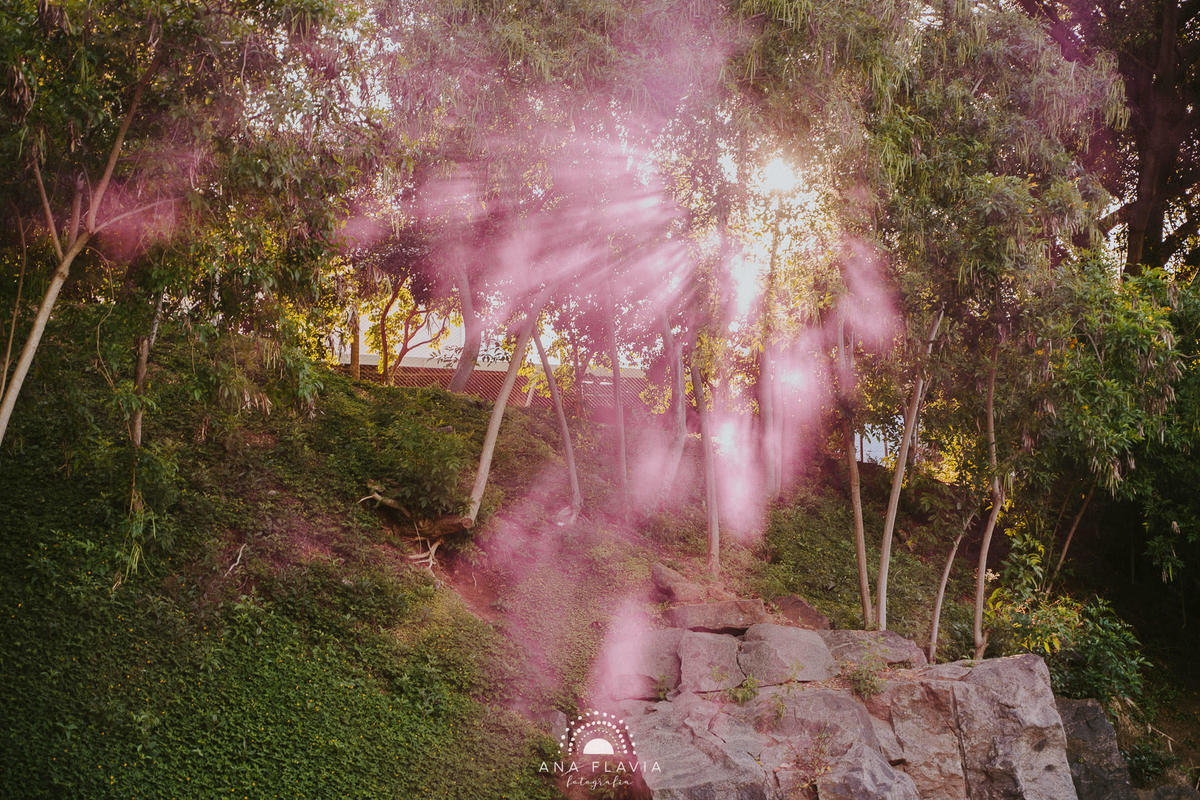 ensaio fotográfico, revelação de gravidez, ensaio revelação, cha revelação, campo, vila velha, vitoria, mae de menina, segunda gravidez, ensaio no parque
