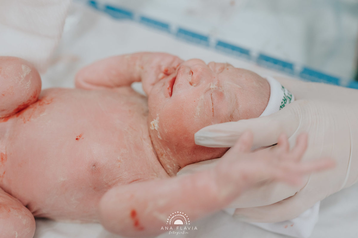 Filmes de parto, filmes de nascimento, nascimento, humanização, parto normal, cesariana humanizada, doula, parto, foto de parto, fotografia de parto no es, parto humanizado, grande vitória, maternidade santa ursula, Meridional