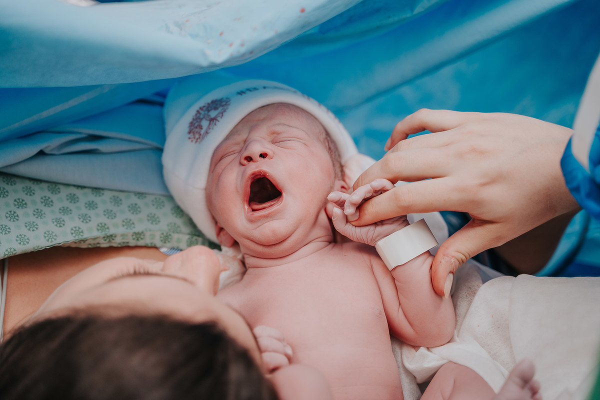 Fotografia de parto Cesária, Filme de parto, nascimento, humanização, vídeo de cesaria, cesariana humanizada, foto de parto Cesaria, parto humanizado, grande vitória, Hospital Praia da Costa, parto Cesária, Cesária, dr Rafael angelo Avançar Clínica Médica