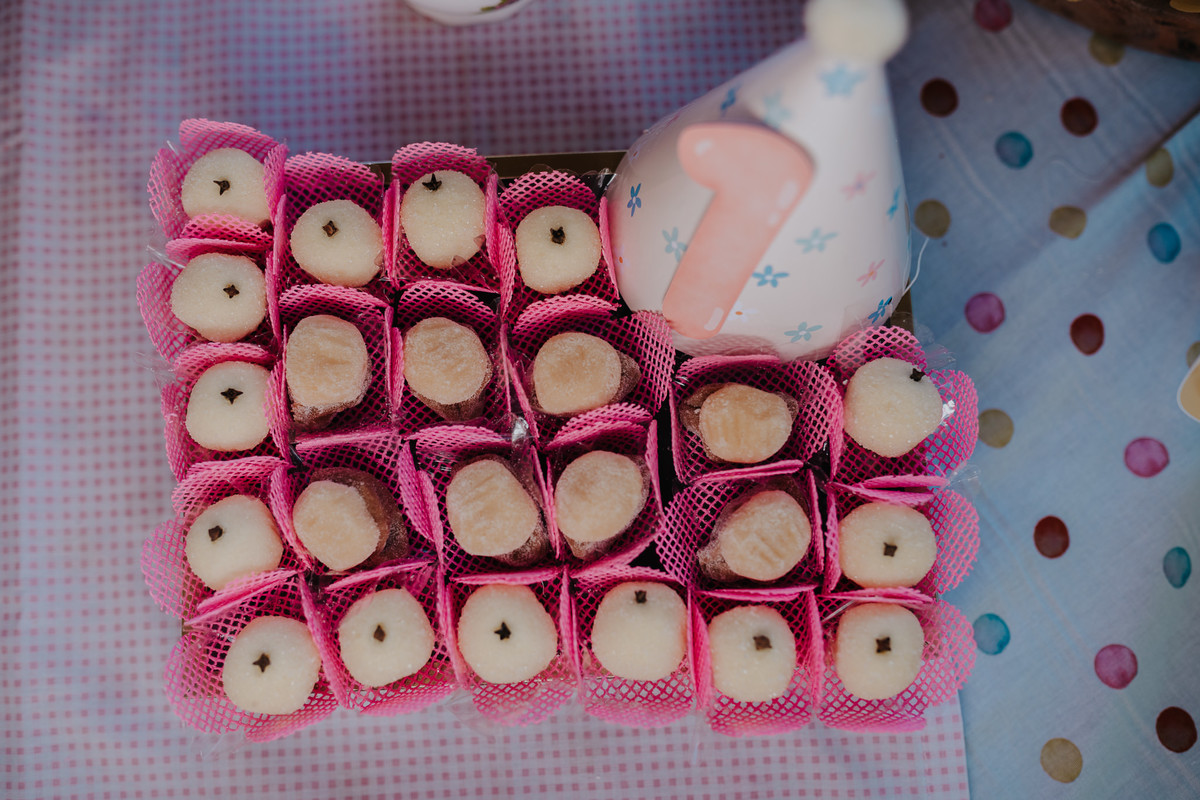 aniversario, 1 anos, mundo rosa, mae de menina, fotografia, babygril, , festa de menina, amigos, smashthecake, primeiro aninho, babyfashion, festa de criança, photography, um ano, família, festa intimista, aniversario de menina, 