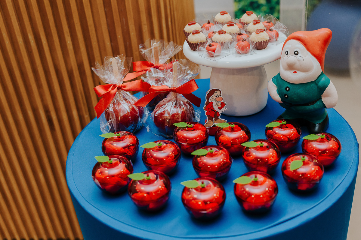 fotografia de aniversário ana clara, festa infantil Vila Velha, fotógrafa de festas, fotos espontâneas de crianças, Patrulha Canina, fotógrafo de eventos ES, festa com piscina, fotografia afetiva infantil, registro documental de festa, Vitoria es