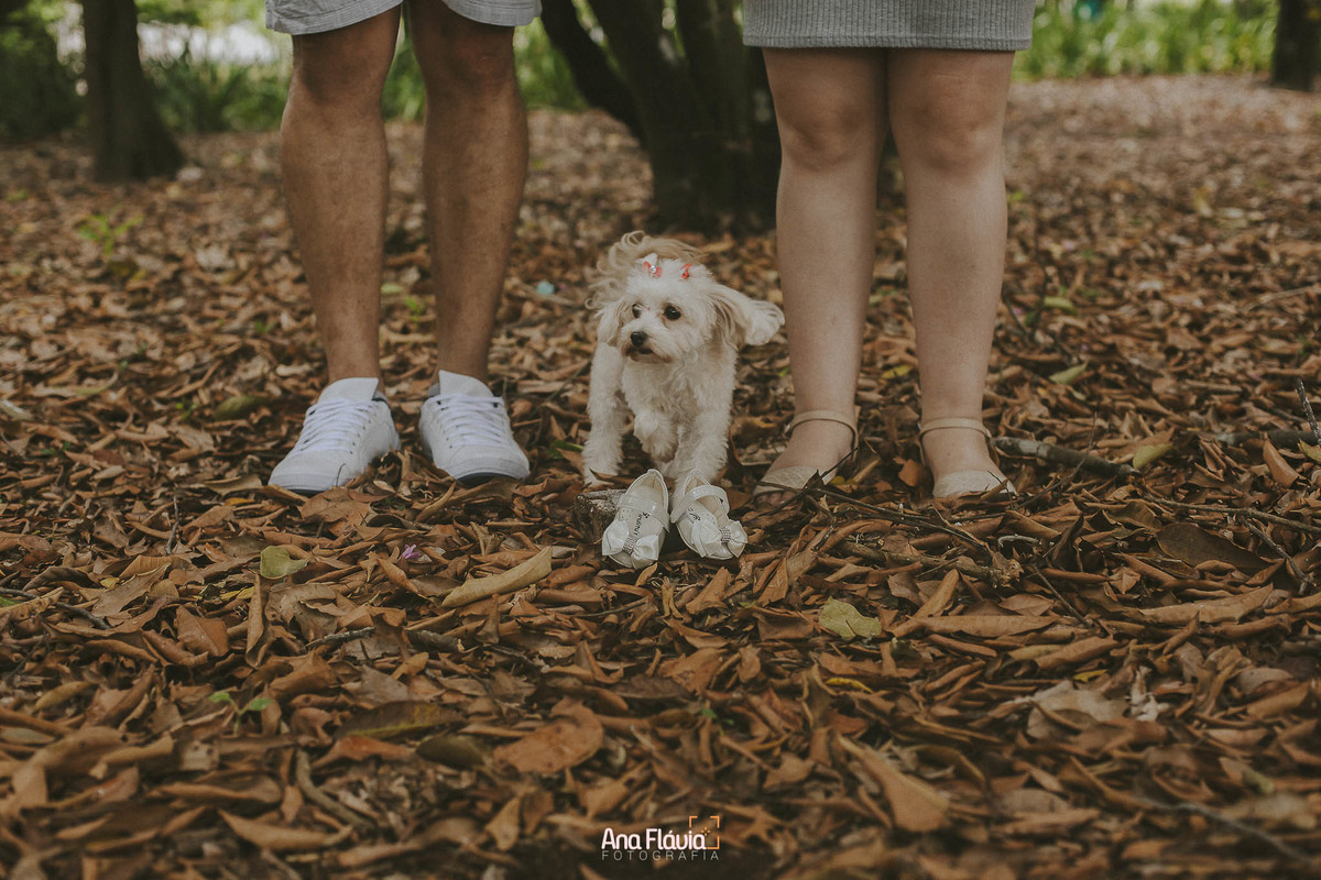 bookgestante, maternidade gravidez ensaiogestante maedemenina maedemenino pregnant ensaiofotografico amor familia maternidadereal maedeprimeiraviagem gravidas pregnancy mamae gestacao brasil gravidinha lifesytele gestanteemcasa vilavelha vix vitoria es