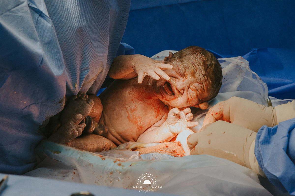 Filmes de parto, filmes de nascimento, nathalie pauli photography, nascimento, humanização, parto normal, cesariana humanizada, doula, birth photography, birth, parto, newborn, new born photography, grande vitoria, vitoria, vila velha, espirito santo