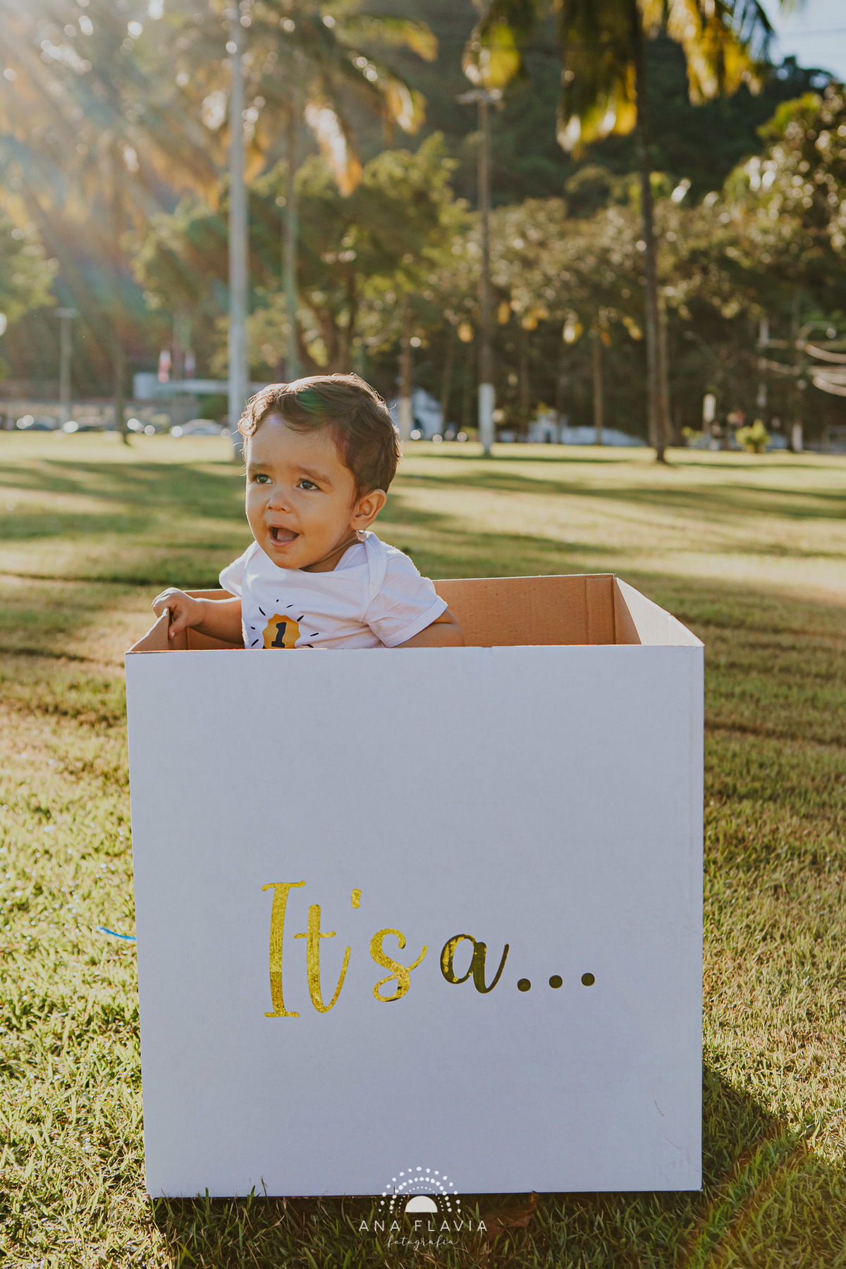 Ensaio fotográfico chá revelação prainha de Vila Velha 