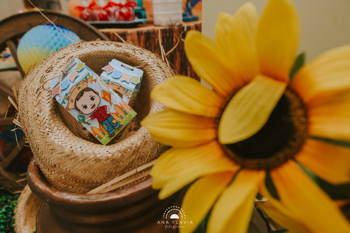 Fotografia de decoração de festa infantil