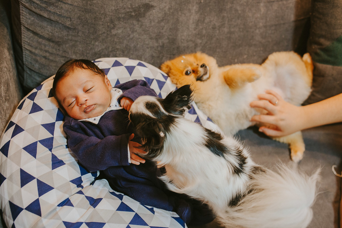 ensaio em casa lifestyle primeiros dias newborn documental vitoria vila velha newbornlifestyle  newborn maternidade fotografia lifestyle bebe ensaio photography babyphoto lifestylephotography foto fotografiadefamilia babysession newbornphotography familia