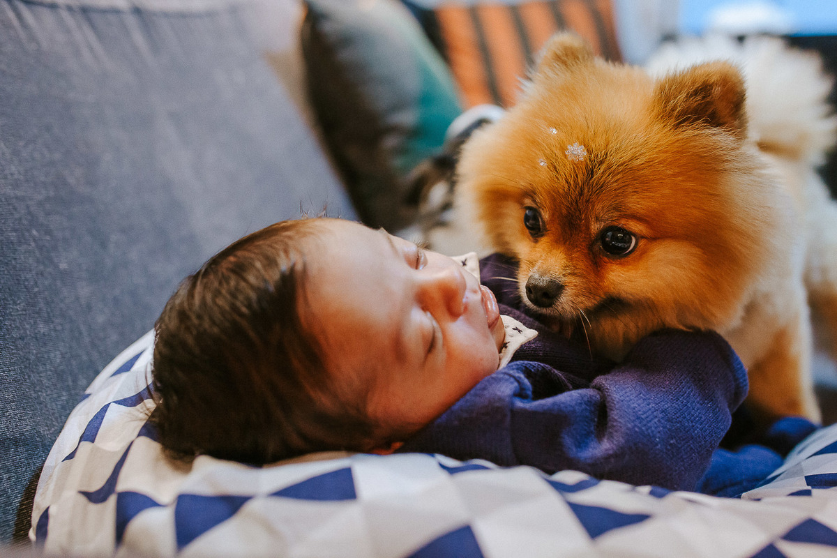 ensaio em casa lifestyle primeiros dias newborn documental vitoria vila velha newbornlifestyle  newborn maternidade fotografia lifestyle bebe ensaio photography babyphoto lifestylephotography foto fotografiadefamilia babysession newbornphotography familia