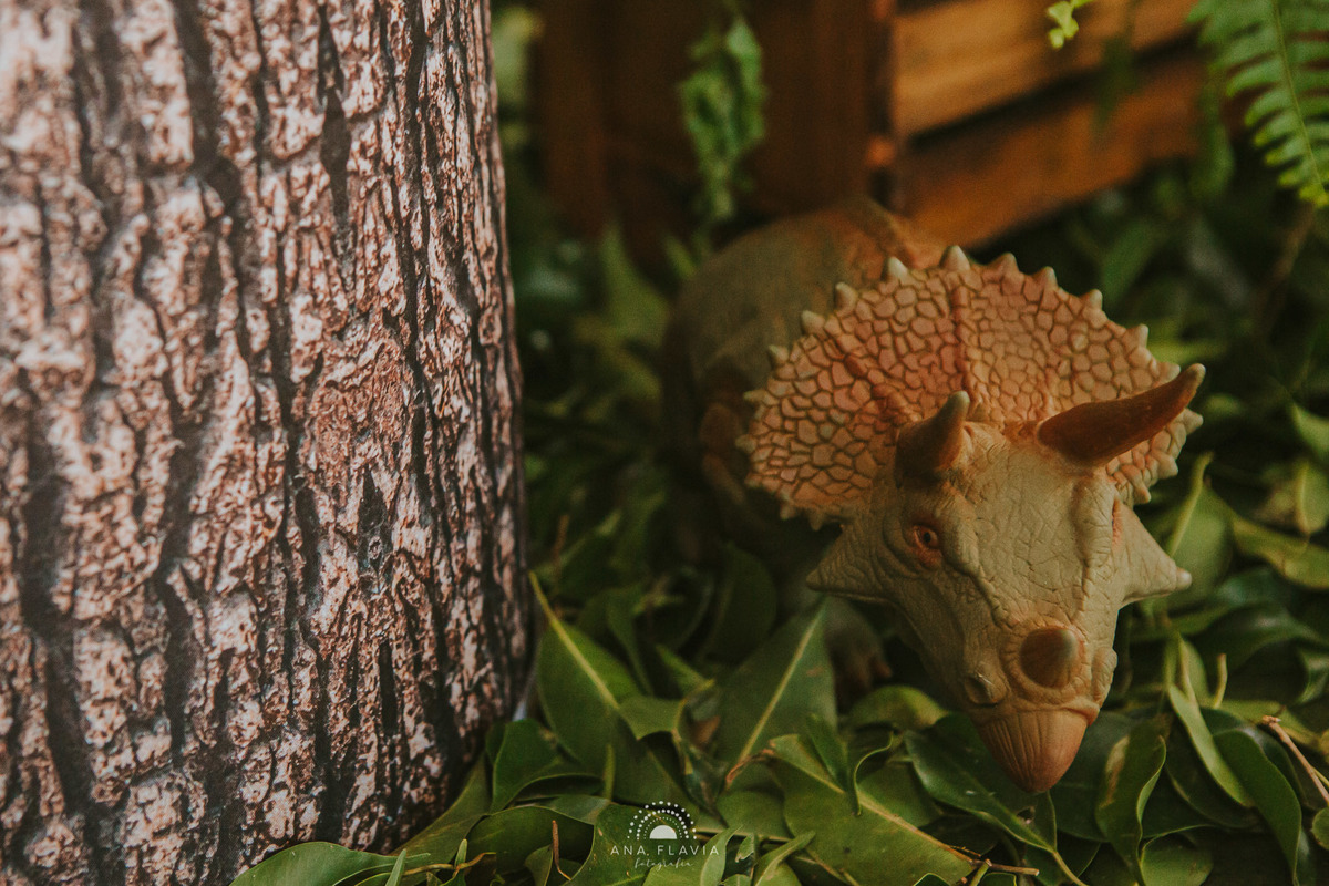 aniversario, 4 anos, mundo azul, mae de menino, fotografia, babyboy, festa dinossauro, festa de menino, amigos, smashthecake, primeiro aninho, festa de criança, photography, família, mamãe de primeira viagem, tema dinossauro