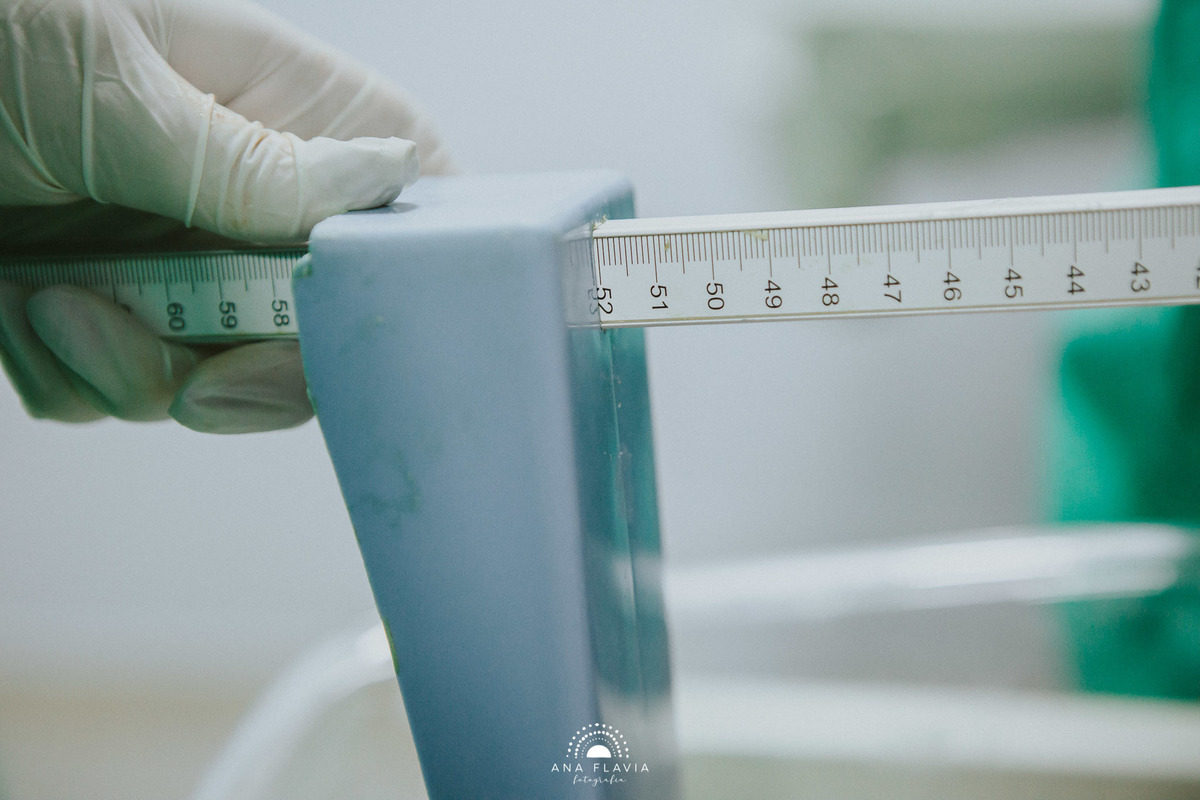 Fotografia de parto vila velha, filmes de nascimento, nascimento, humanização, parto normal, cesariana humanizada, doula, parto, foto de parto, fotografia de parto em vitoria, parto humanizado, grande vitória hospital praia da costa