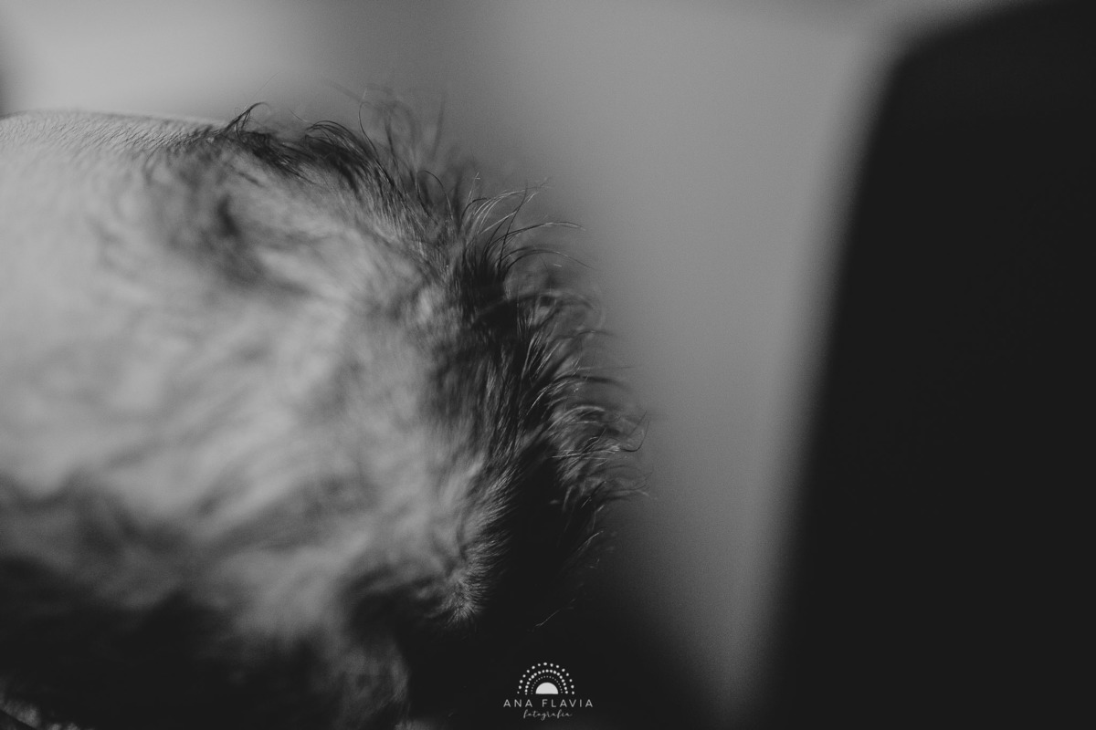 Fotografia de parto Cesária 
Filmes de parto, filmes de nascimento, nascimento, humanização, parto normal, cesariana humanizada, doula, parto, foto de parto, fotografia de parto no es, parto humanizado, grande vitória, Hospital Praia da Costa