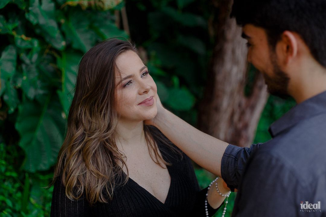 book de gravida em blue tree