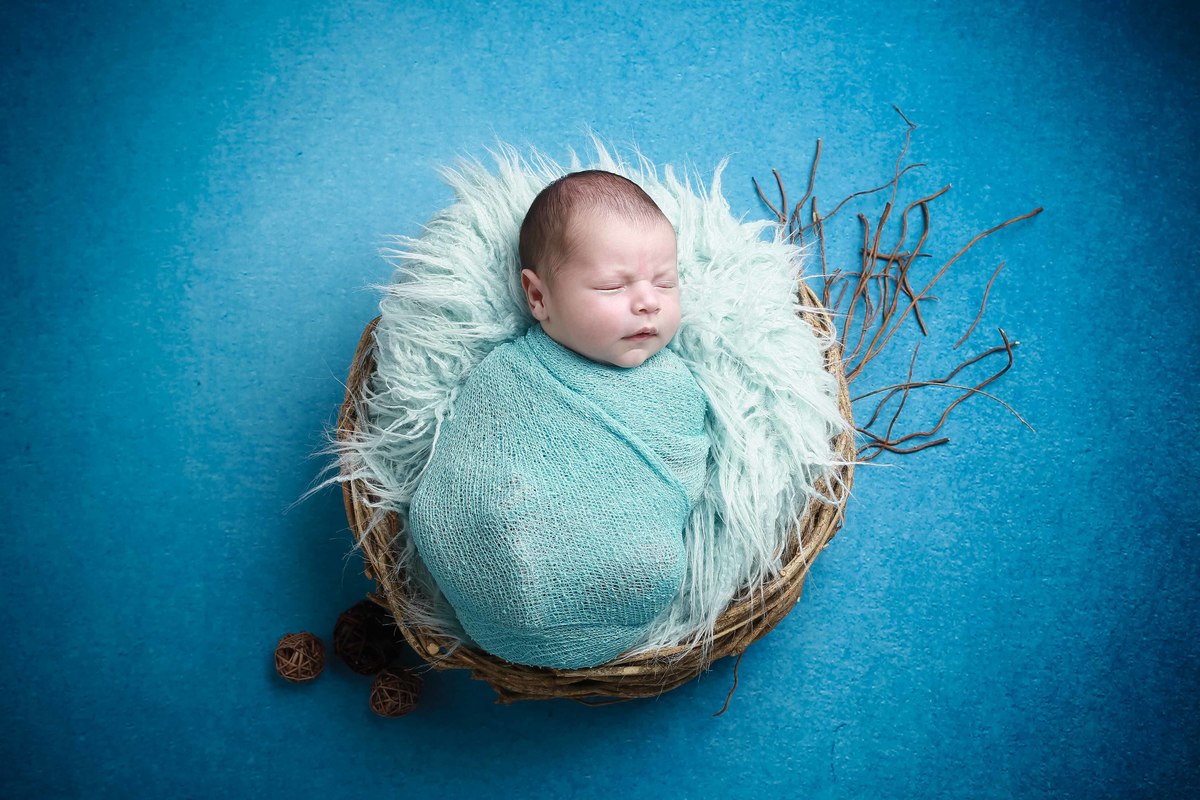 newborn fundo azul cesto menino