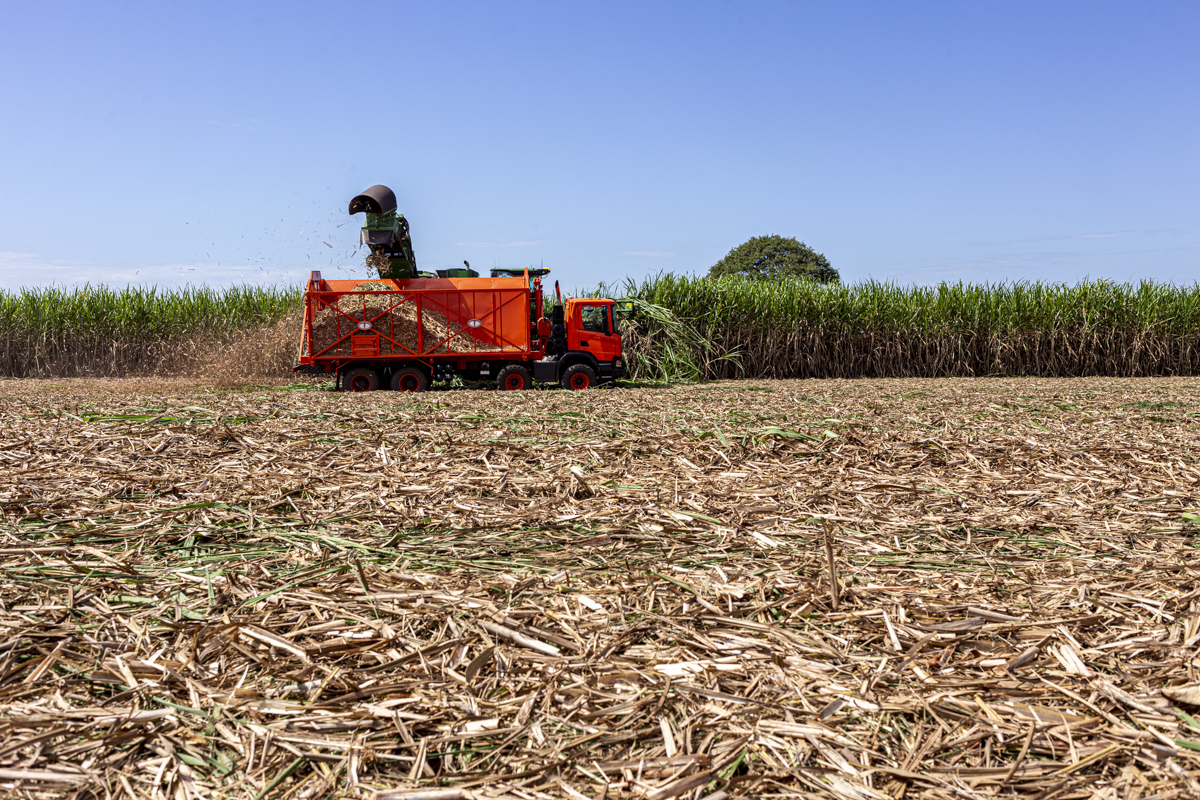 Especialista em fotografia institucional em Londrina PR, o fotógrafo Roberto Custódio capta imagens de caminhão Scania para divulgação em redes sociais.