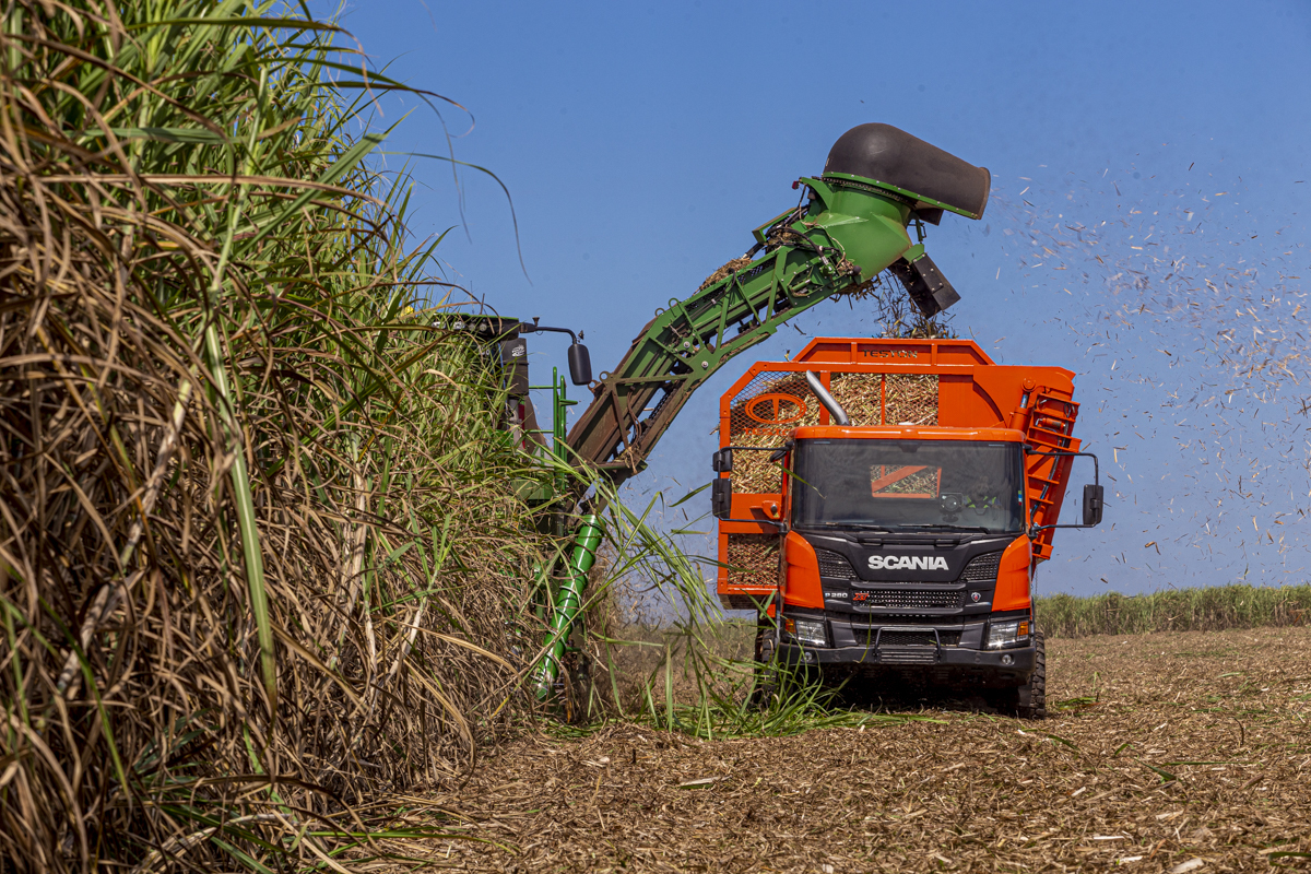 Roberto Custódio: o olhar que transforma empresas em imagens marcantes. Especialista em fotografia institucional, comercial, publicitária e empresarial em Londrina Paraná.
