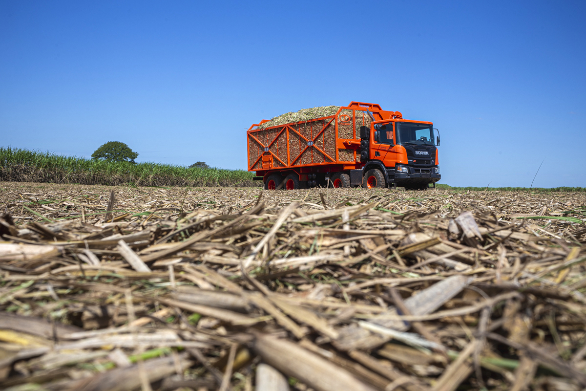 Capture a essência do seu negócio com Roberto Custódio. Fotografia institucional, comercial, publicitária e empresarial de alta qualidade em londrina pr.