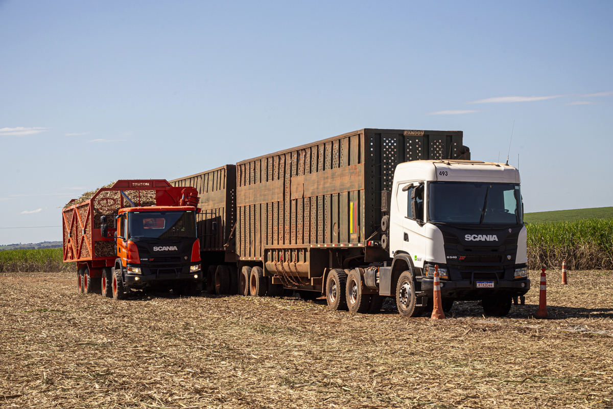 Imagens que contam a história do seu sucesso. Roberto Custódio, especialista em fotografia institucional, comercial, publicitária e empresarial em Londrina PR.
