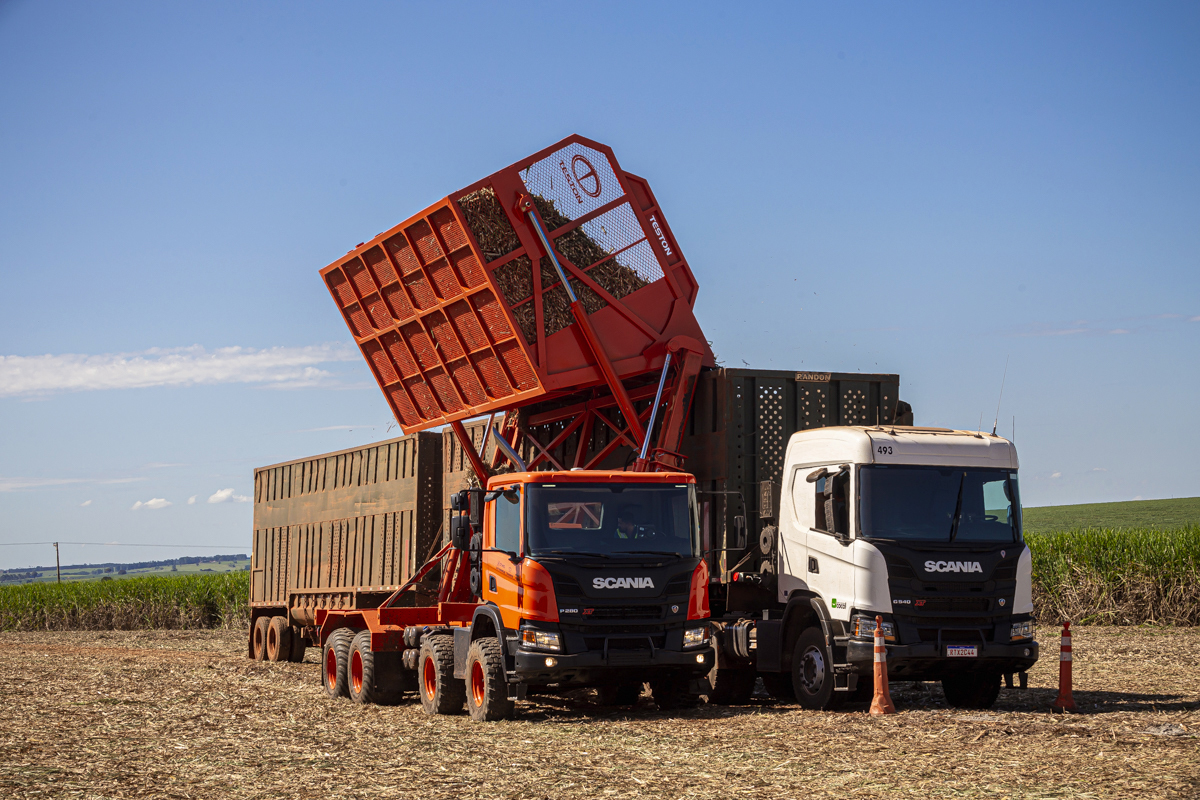 Potencialize sua marca com imagens profissionais. Roberto Custódio, fotógrafo experiente em fotografia institucional, comercial, publicitária e empresarial em Londrina PR.
