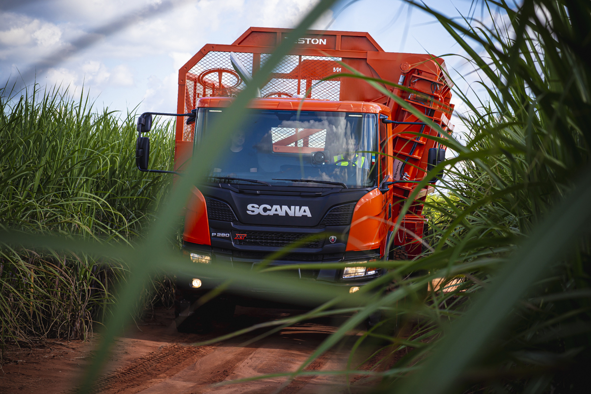 Copturando Imagens que impulsionam seus negócios, Roberto Custódio, profissional em Fotografia institucional, comercial, publicitária e empresarial com expertise profissional de  Londrina PR.
