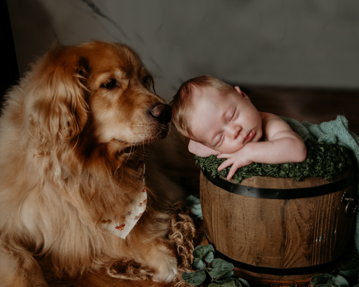 ensaio newborn estúdio zona leste 