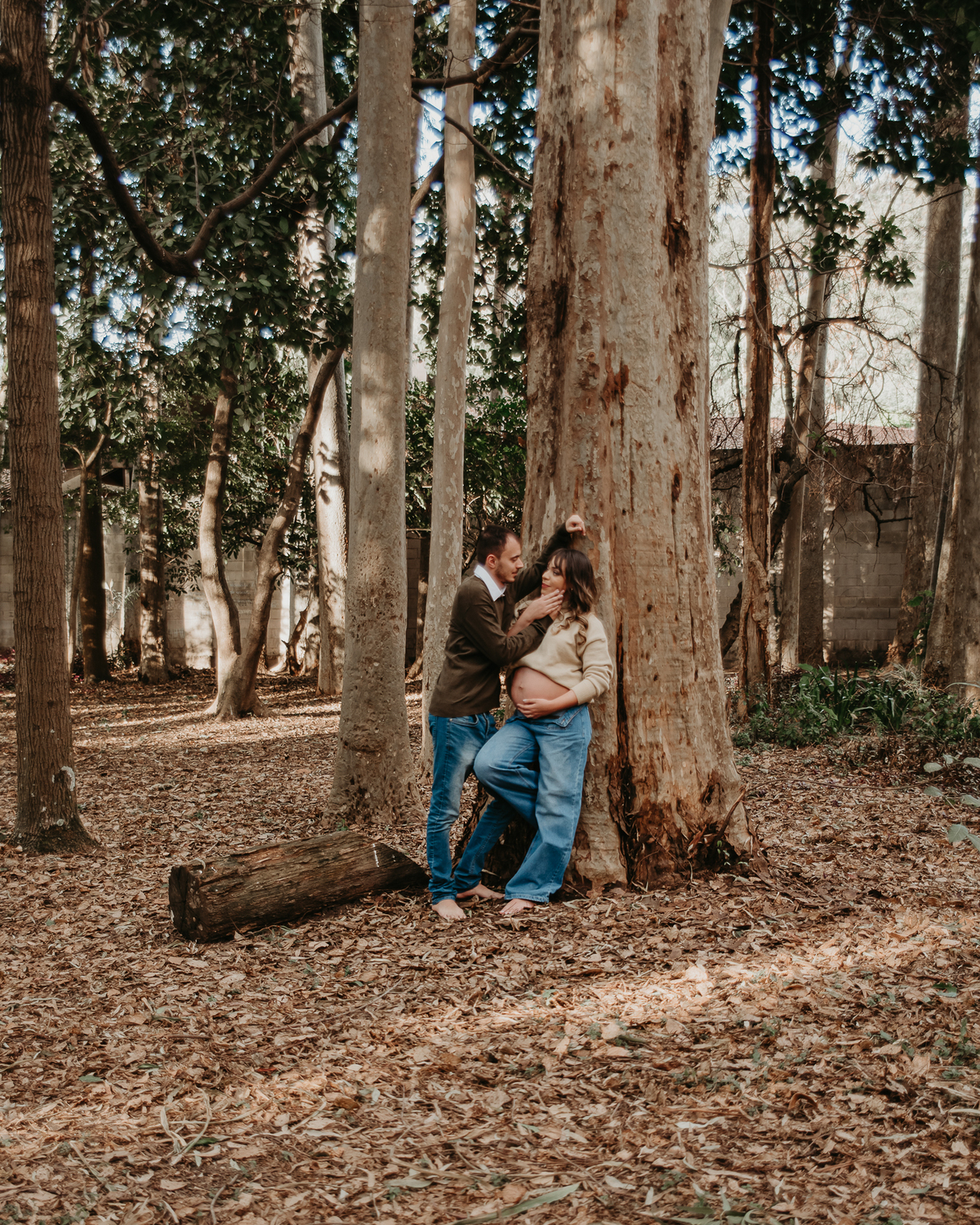 ensaio gestante externo